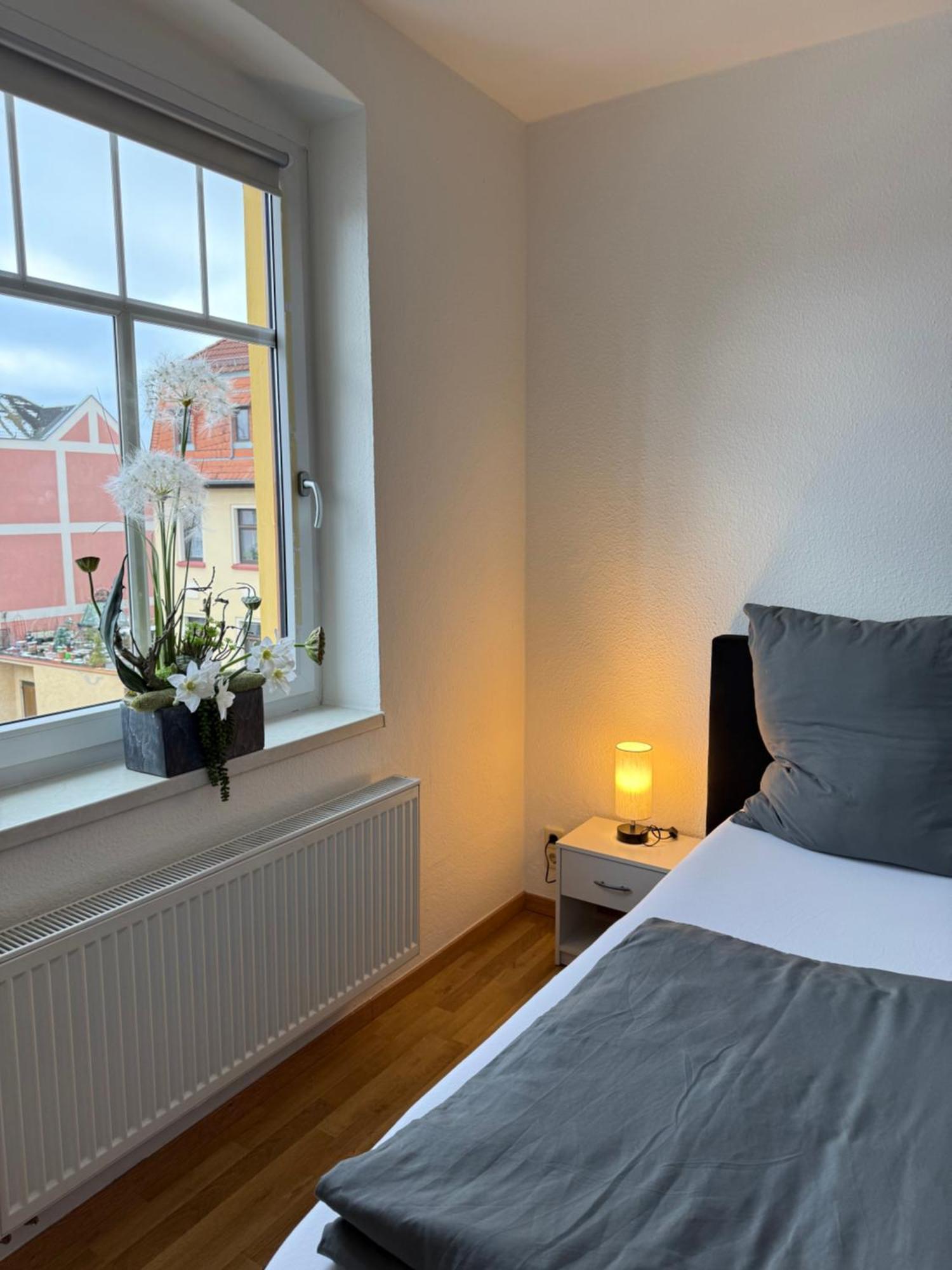Goeltzschtal Apartment Mylau Bagian luar foto